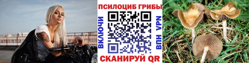 купить наркотики цена  Покровск  Галлюциногенные грибы GOLDEN TEACHER 